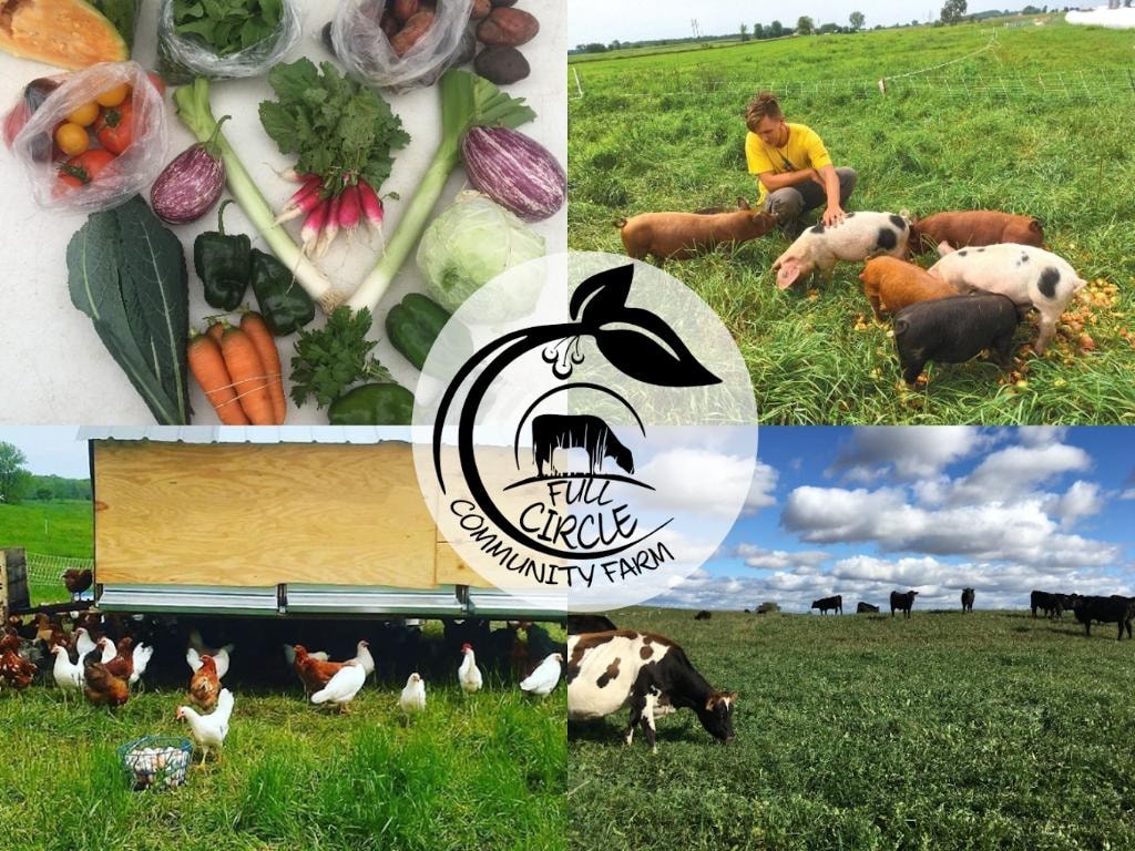 Full Circle Community Farm — vegetables, pasture-raised pigs, free-range chickens, and grazing cattle